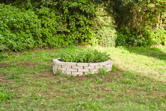 Odstranjevanje drevesnega štora