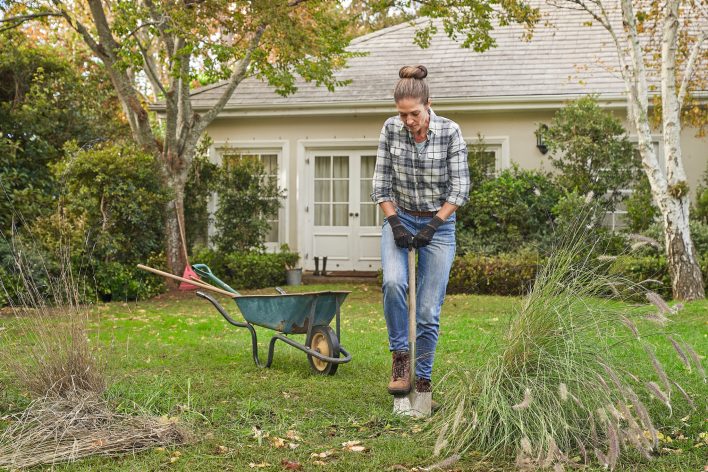 Sajenje žive meje kot naravne zaščite pred pogledi