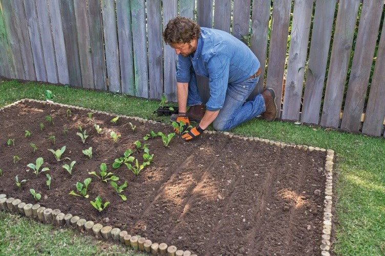 Priprava zelenjavne grede: navodila in nasveti