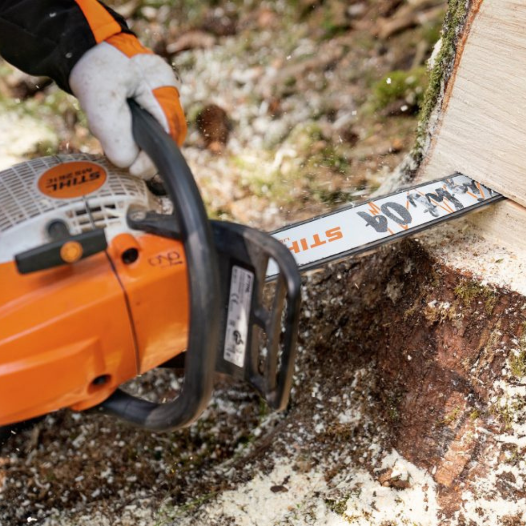 Izpit za varno delo z motorno žago: licenca za žaganje