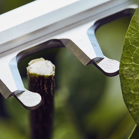 Slika Inovativen rezalni sistem