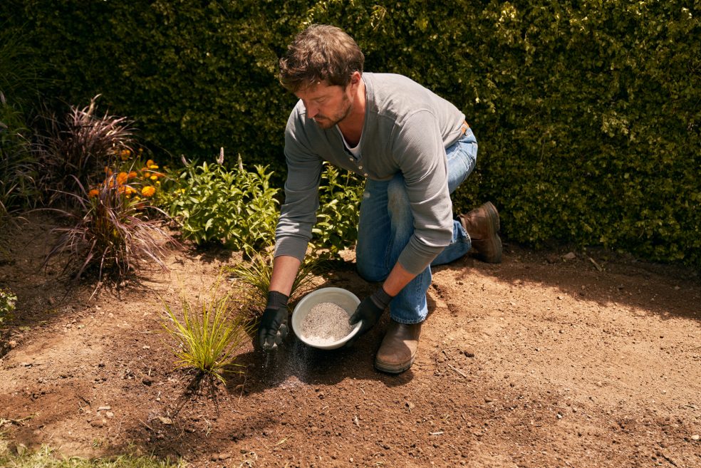 Pravilno gnojenje vrta