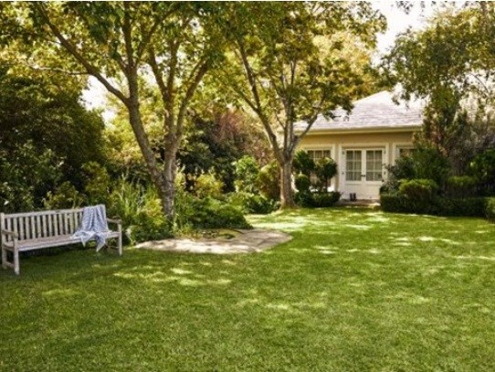 Slika za kategorijo Nega trave