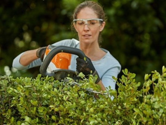 Slika za kategorijo Nega žive meje