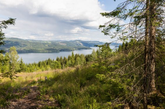 Slika za kategorijo O nas